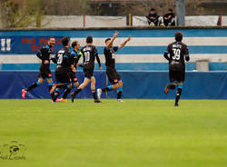 calcio pro patria novara