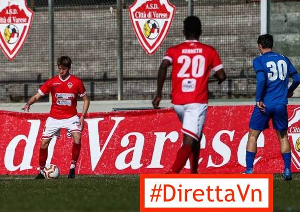 calcio varese diretta