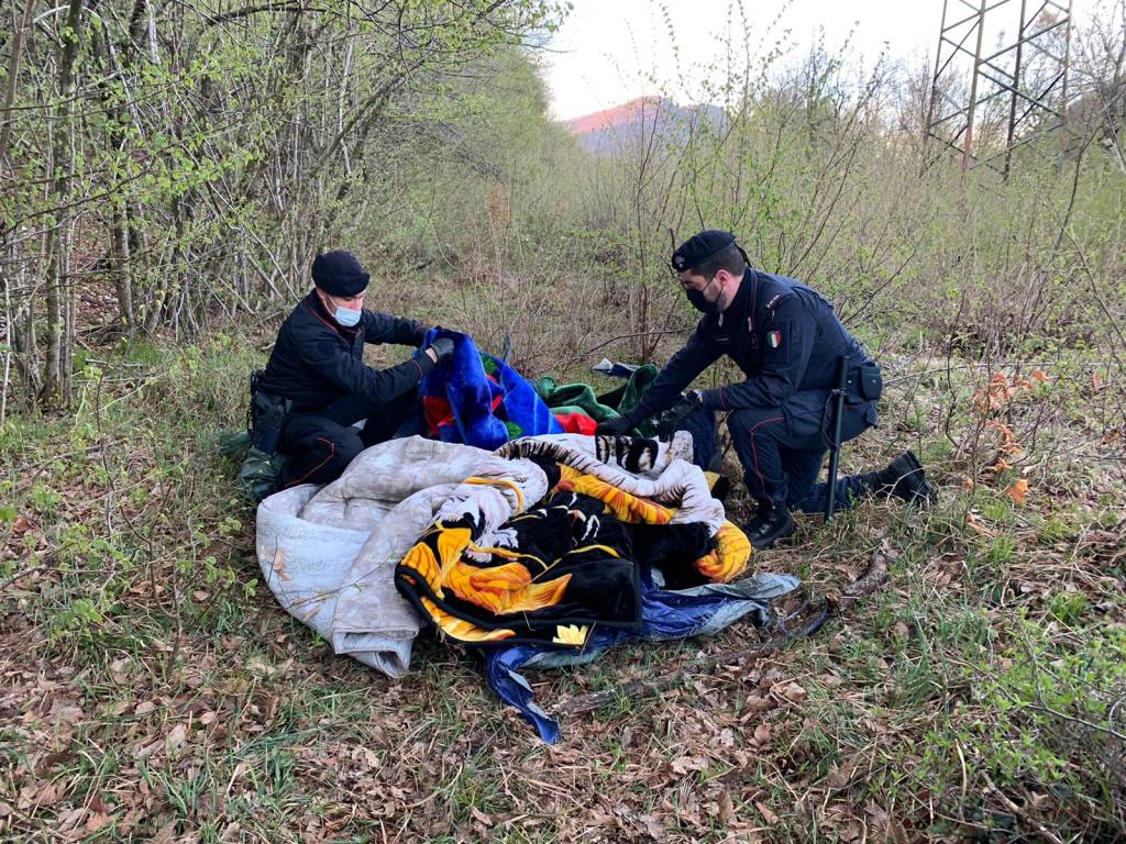 Distrutta una postazione di spaccio nei boschi della valganna