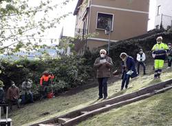 La valle è più verde con gli alberi piantati dai bimbi di Cuvio