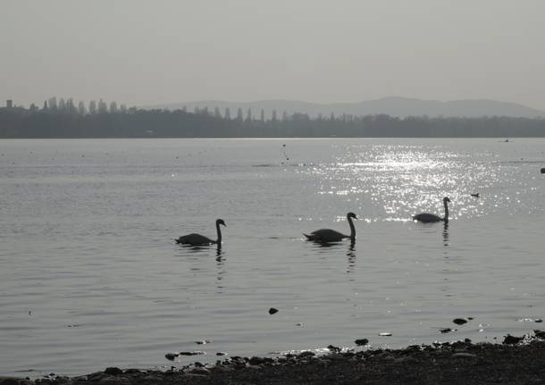 Tramonto sul lago di Varese