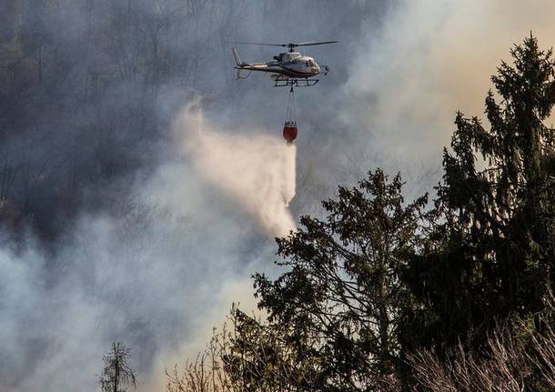 elicottero antincendio