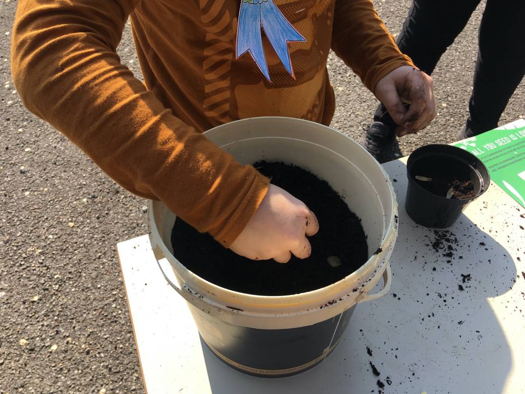 giornata mondiale della terra alle scuole di Gallarate