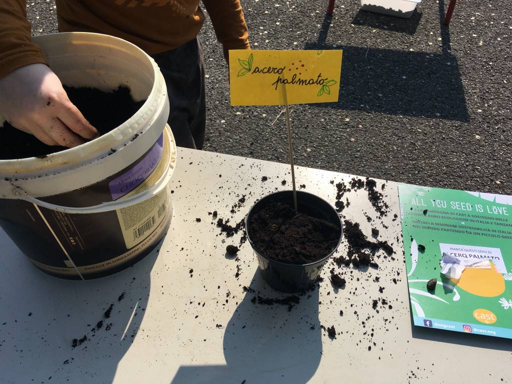 giornata mondiale della terra alle scuole di Gallarate