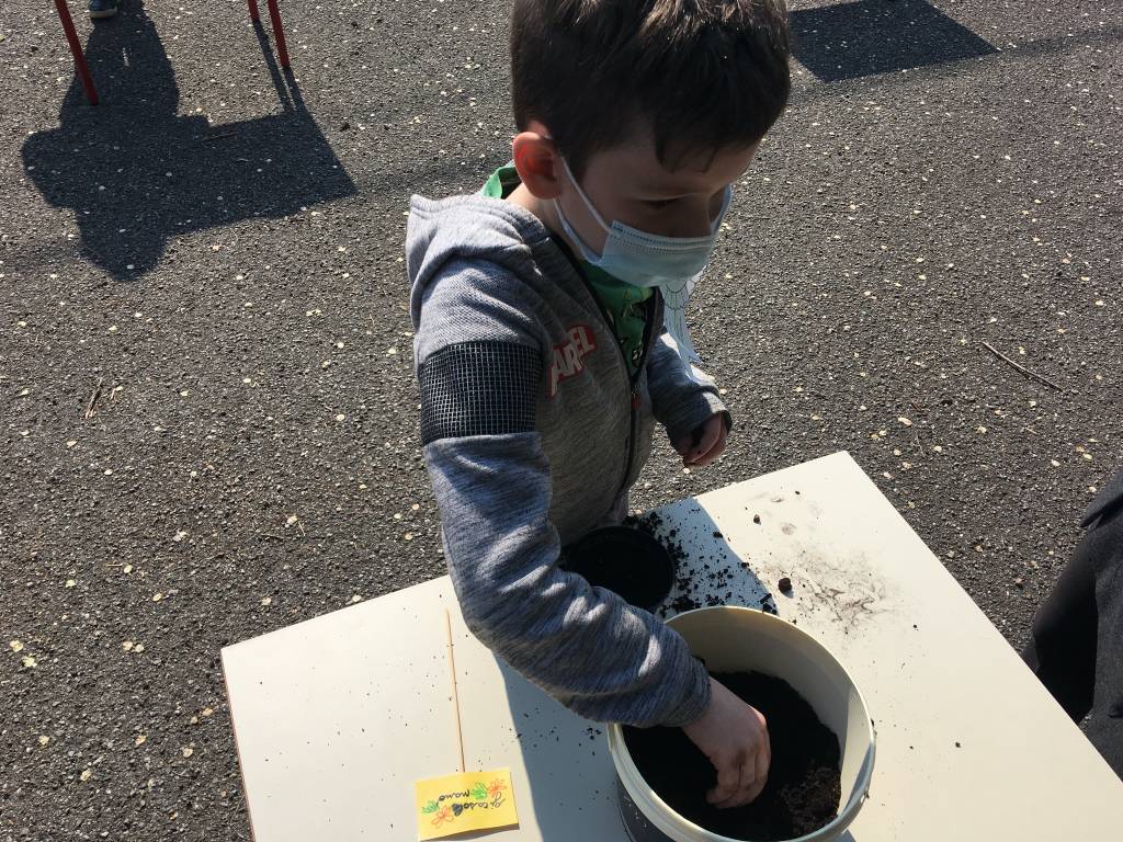 giornata mondiale della terra alle scuole di Gallarate