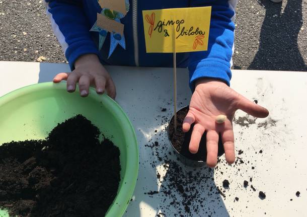 giornata mondiale della terra alle scuole di Gallarate