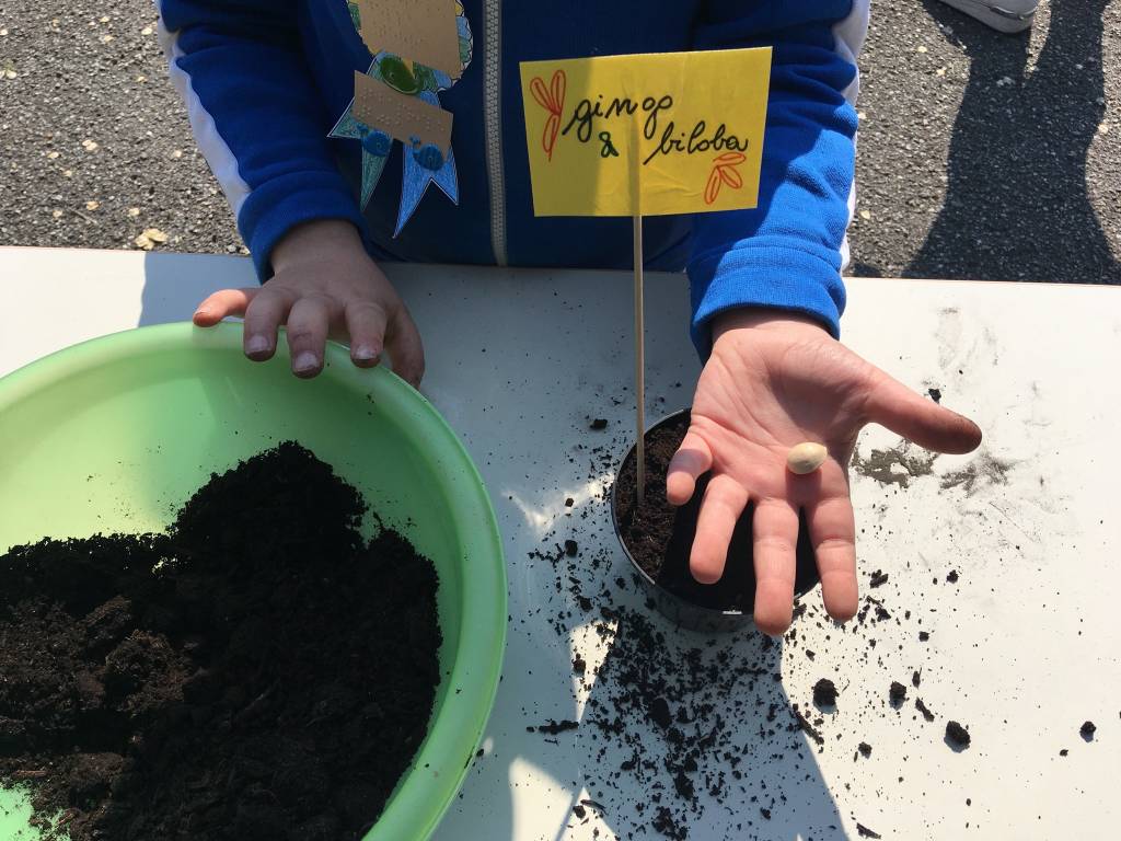 giornata mondiale della terra alle scuole di Gallarate