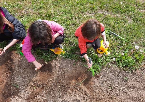 I bambini coltivano gli orti scolastici del IC di Vedano Olona