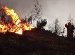 incendi boschivi piemonte