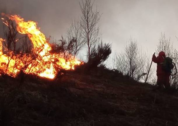 incendi boschivi piemonte