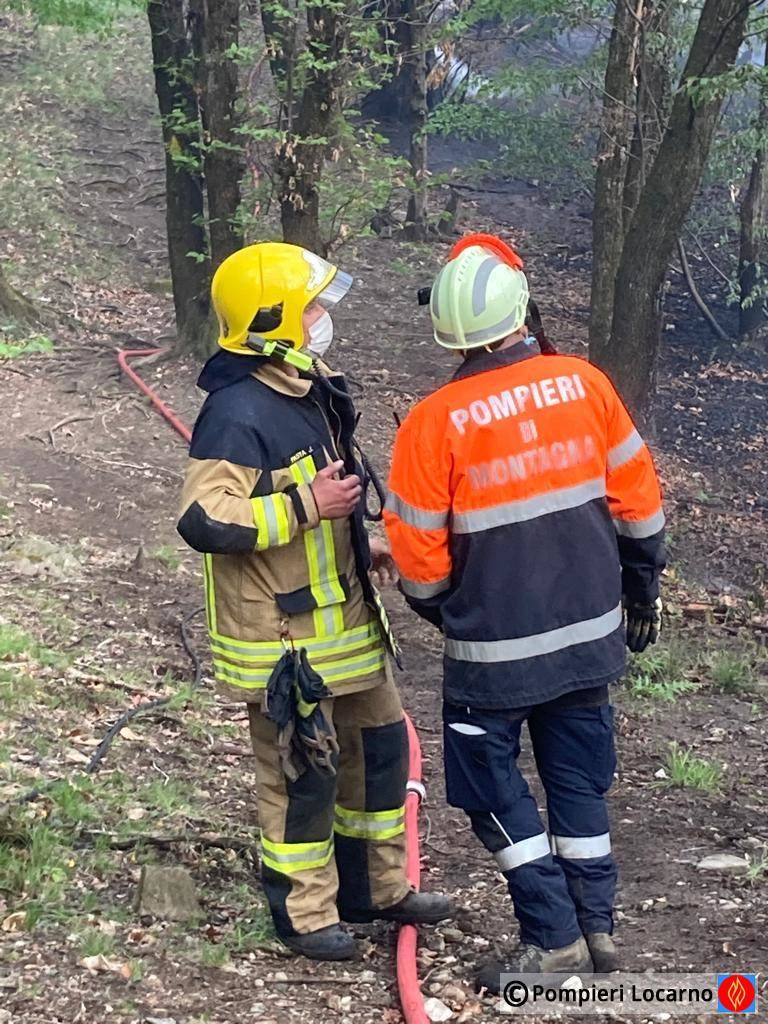 incendio vallemaggia