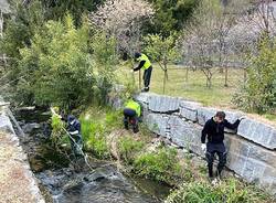 Induno Olona - Protezione civile al lavoro per pulire gli argini dell'Olona