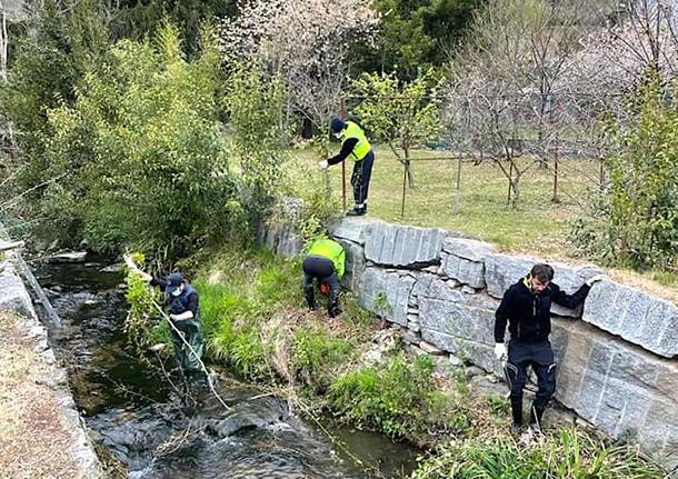 Induno Olona - Protezione civile al lavoro per pulire gli argini dell'Olona