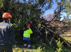 Interviene la Protezione Civile a Laveno Mombello, 