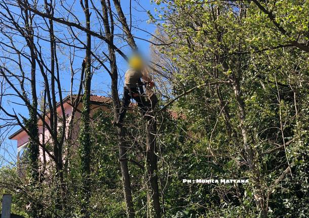 La Protezione Civile di Laveno Mombello interviene per i danni provocati dal vento