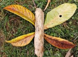 "Land Art Lissago", i bambini della scuola materna creano piccole opere naturali