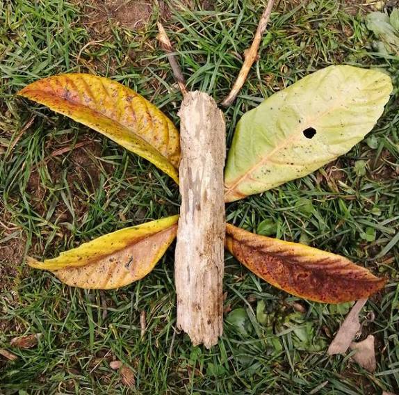 "Land Art Lissago", i bambini della scuola materna creano piccole opere naturali