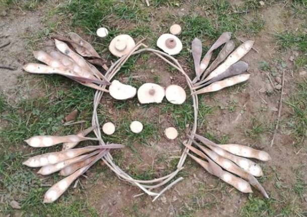 “Land Art Lissago”, i bambini della scuola materna creano piccole opere naturali