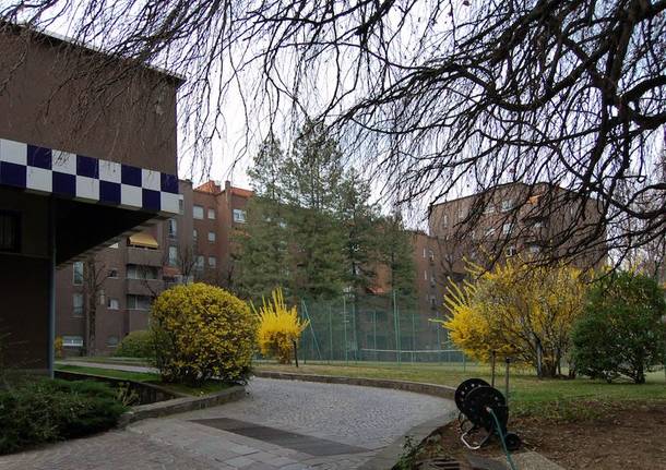 Luigi Caccia Dominioni Gallarate