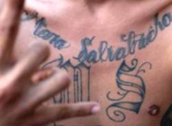 mara salvatrucha gang latinos ms 13