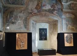 Mostra felini di samuele Arcangioli in sala Veratti