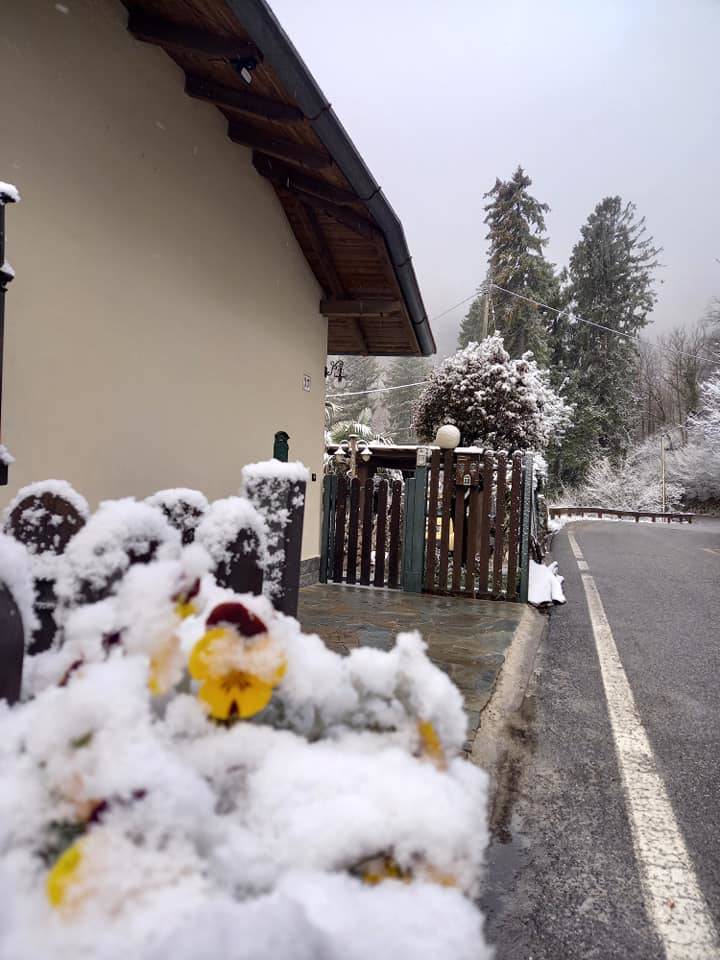 Neve di aprile 2021 (oggi nel Varesotto)