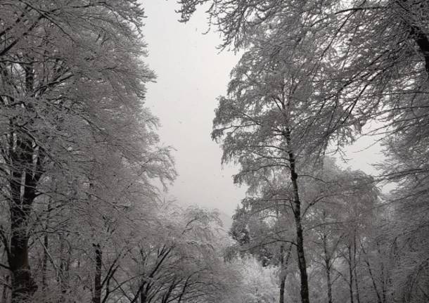 L’ultima neve di primavera