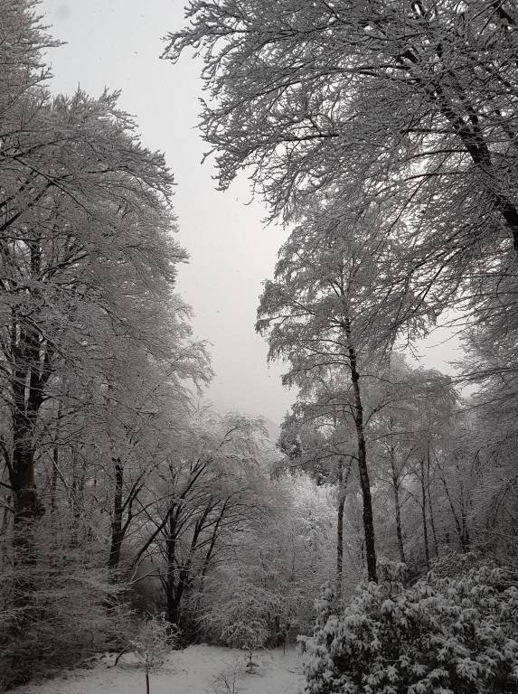 Neve di aprile 2021 (oggi nel Varesotto)