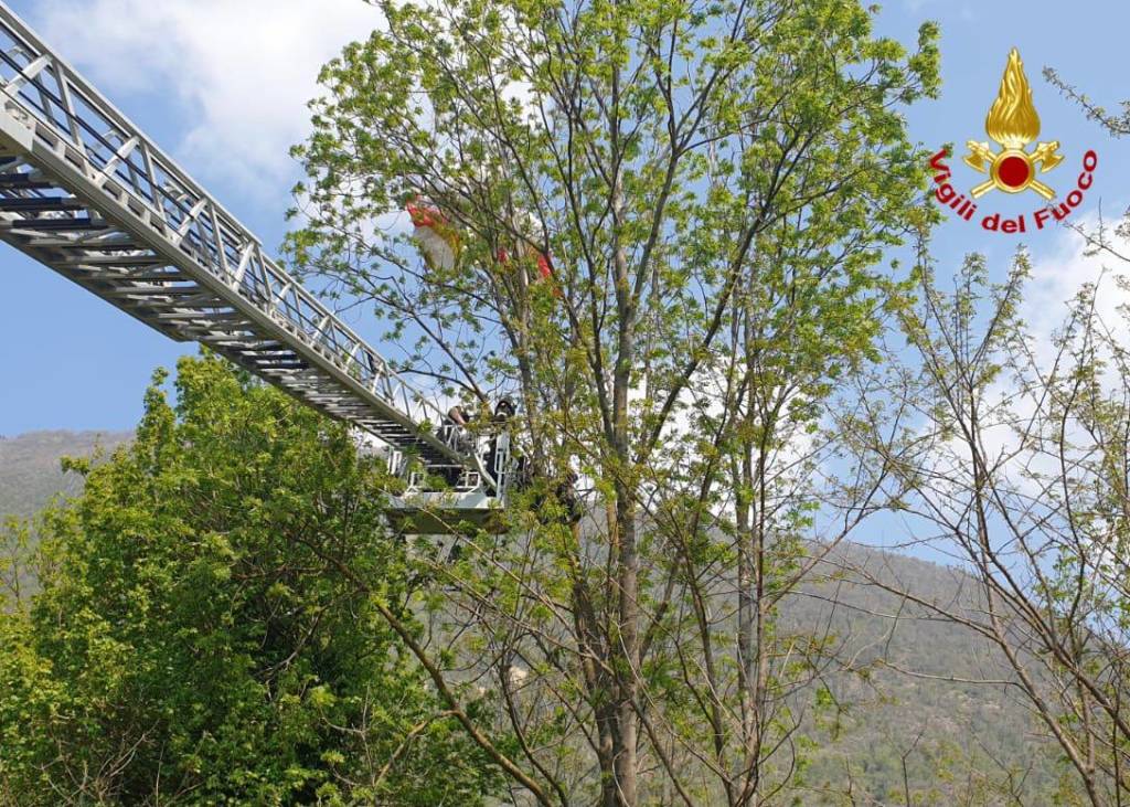 parapendio su albero laveno mombello