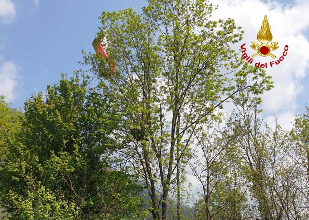 parapendio su albero laveno mombello