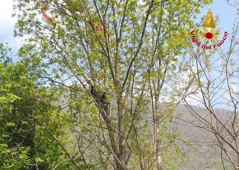 parapendio su albero laveno mombello
