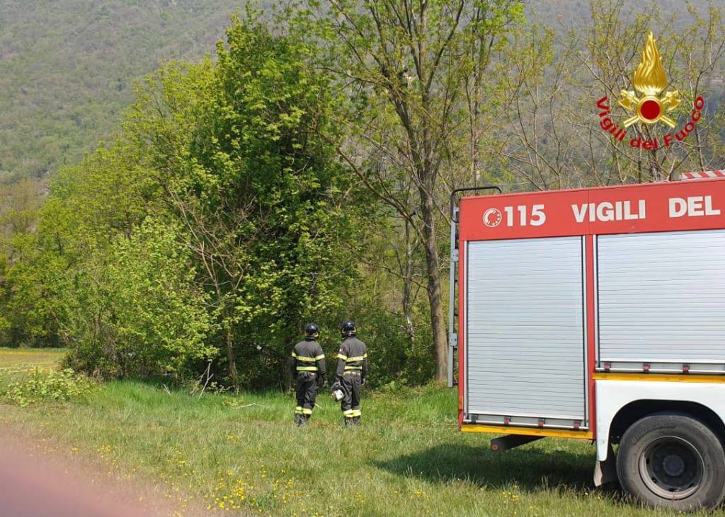 parapendio su albero laveno mombello