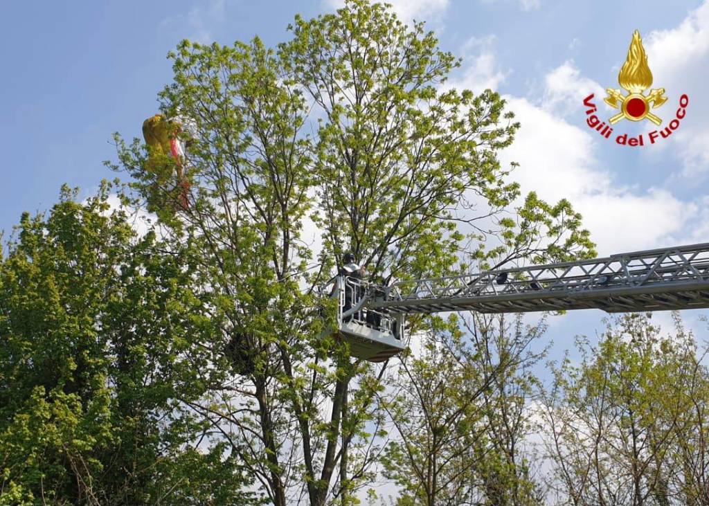 parapendio su albero laveno mombello
