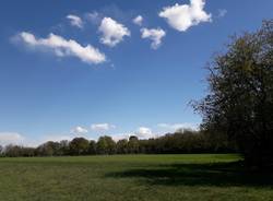 parco del roccolo canegrate