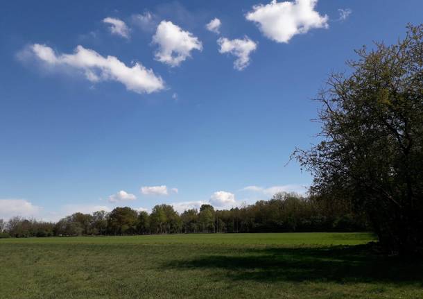 parco del roccolo canegrate