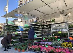 Prime ore di mercato in piazza Repubblica a Varese