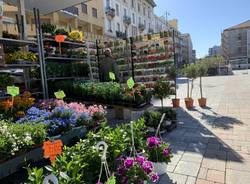 Prime ore di mercato in piazza Repubblica a Varese