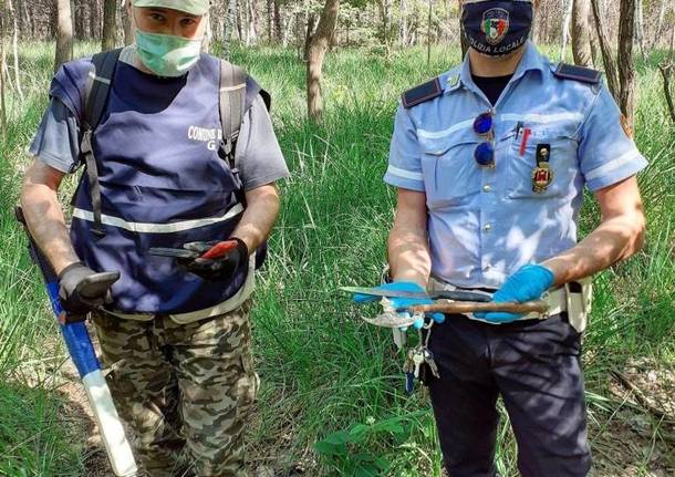 Ritrovamenti nel bosco di Ceriano Laghetto