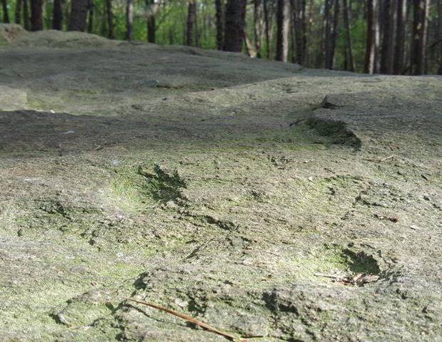 Sass di Biss Somma Lombardo danneggiato 