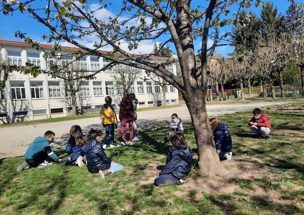 scuola primaria galileo galilei varese