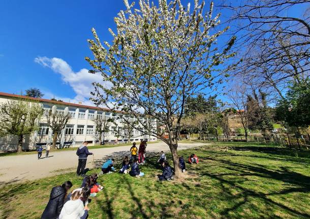 scuola primaria galileo galilei varese