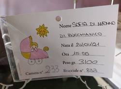 Benvenuta, dolce Sofia