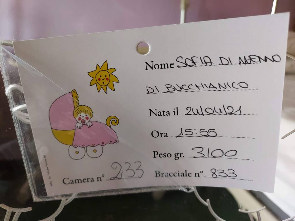 Sofia