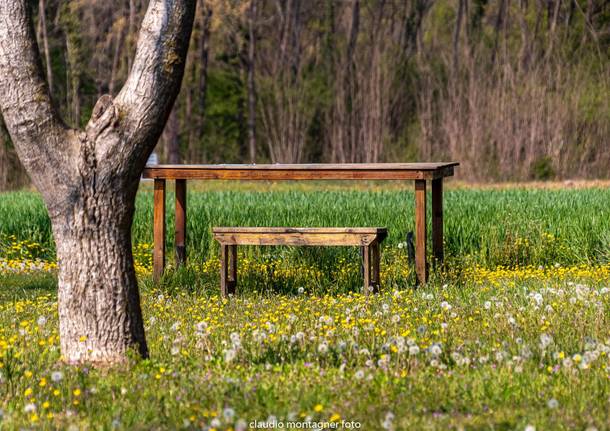 Una domenica di sole
