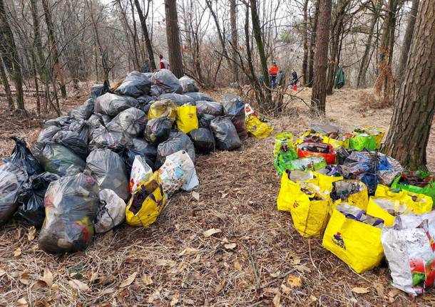 Venegono Superiore - Pulizia boschi a Pianbosco