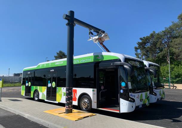 Autobus elettrici Malpensa 