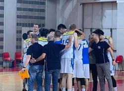 basket robur
