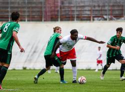 calcio varese castellanzese