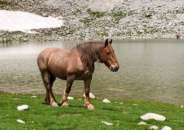 Cammino dei briganti Lago Duchessa 