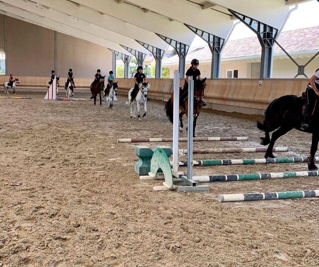 Campo estivo al maneggio - Centro Ippico San Martino